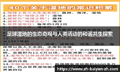 开云